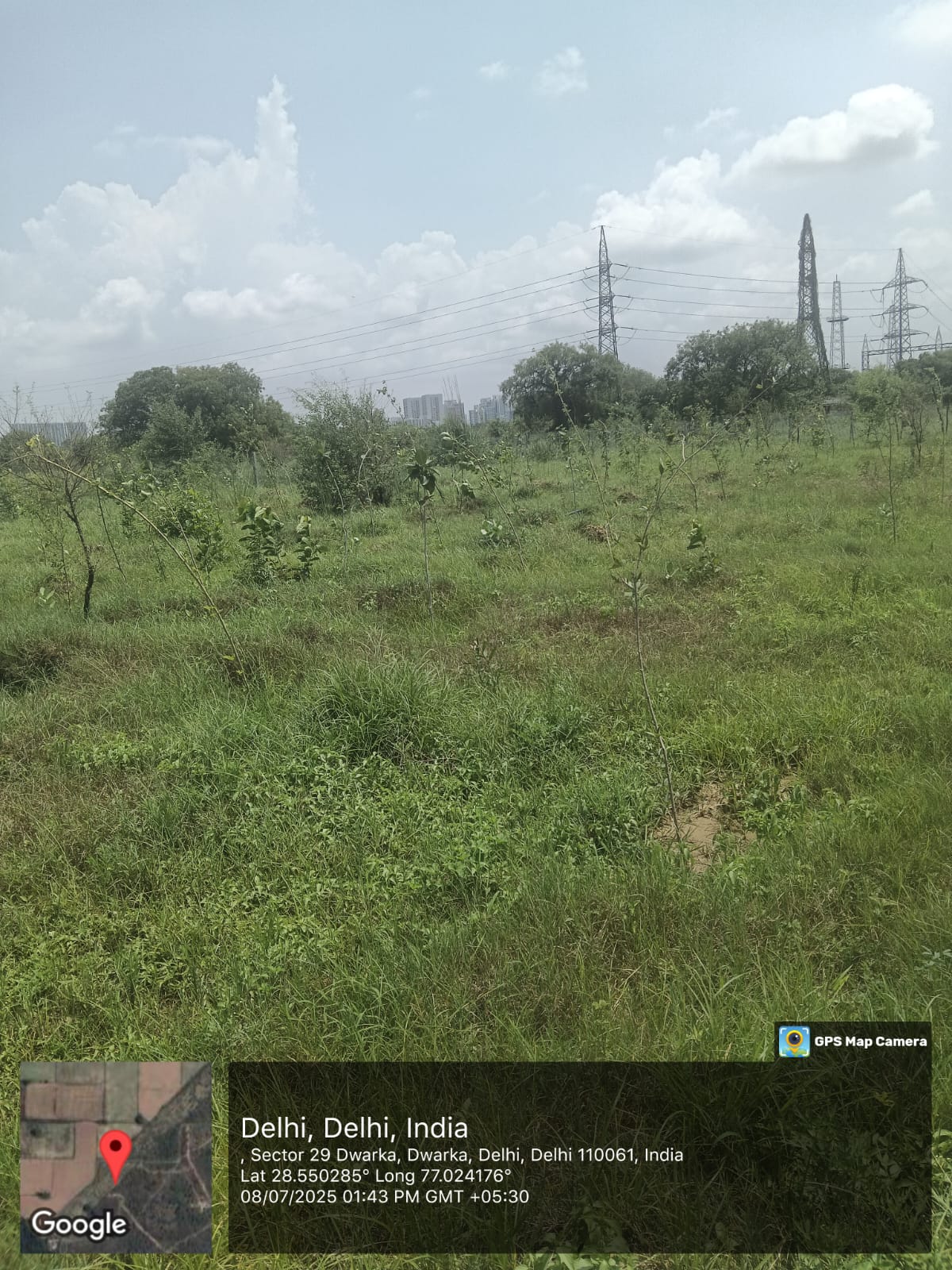 Compensatory Afforestation